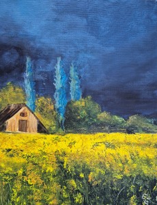 Champ de colza40 x 30