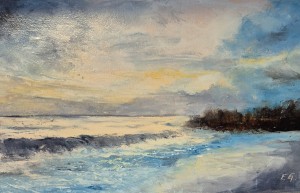 Côte sauvage46 x 27