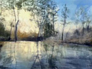 Lumières sur le Marais Poitevin